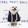Yousheng Dog Hoodie Solid Color Back Pocket Polyester Outdoor Drawstring Comfortable Dog Coat for Small Medium Dogs