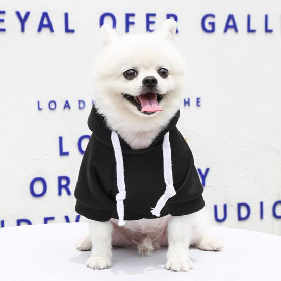 Yousheng Dog Hoodie Solid Color Back Pocket Polyester Outdoor Drawstring Comfortable Dog Coat for Small Medium Dogs