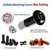 Aootf Anti Theft License Plate Screws- Black Bolts For Locking Car Tag, Frame And Cover, Mounting Hardware Kit For Front/Rear, M6 Stainless Steel