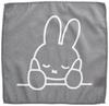 Okato Microfiber Miffy On Cheeks Dishcloths, 30x30cm, 3-Pack,