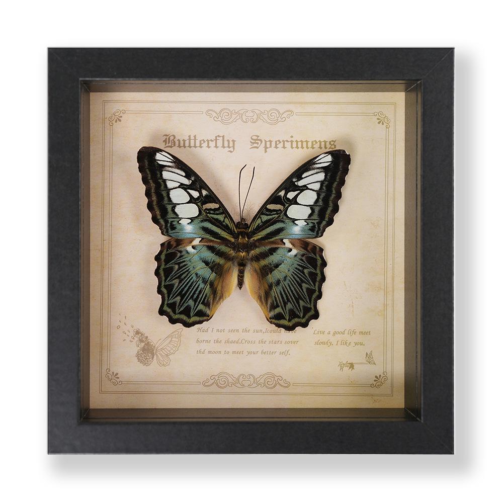 Green Banded Swallowtail Butterfly Specimen Decorative Painting - Real Insect for Display