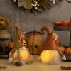 Haobei Thanksgiving Harvest Decor: Maple Leaf & Sunflower Beanie with Rudolph Light-Up Gnome