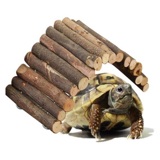 Hamster Ladder Arch Bridge Stable Wood Multifunctional Pet Shelter Cage Toy for Parrot