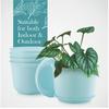 10 Inch Plastic Round Flower Pots with Tray for Home Planters, Terrace, Garden Etc | Pack of 05 | Blue | for Home Indoor & Outdoor Gardening Plants