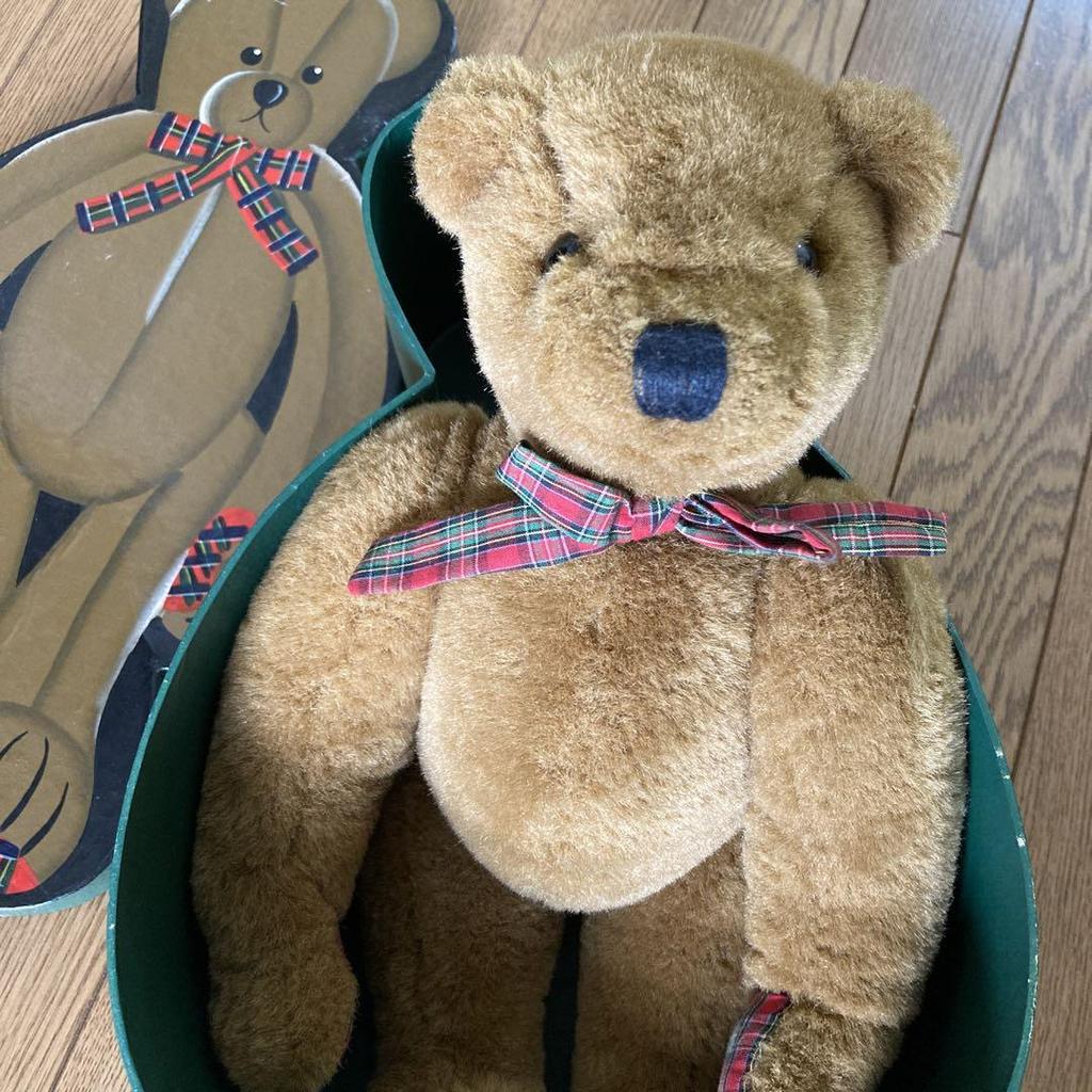 [USED] Teddy Bear In Special Box