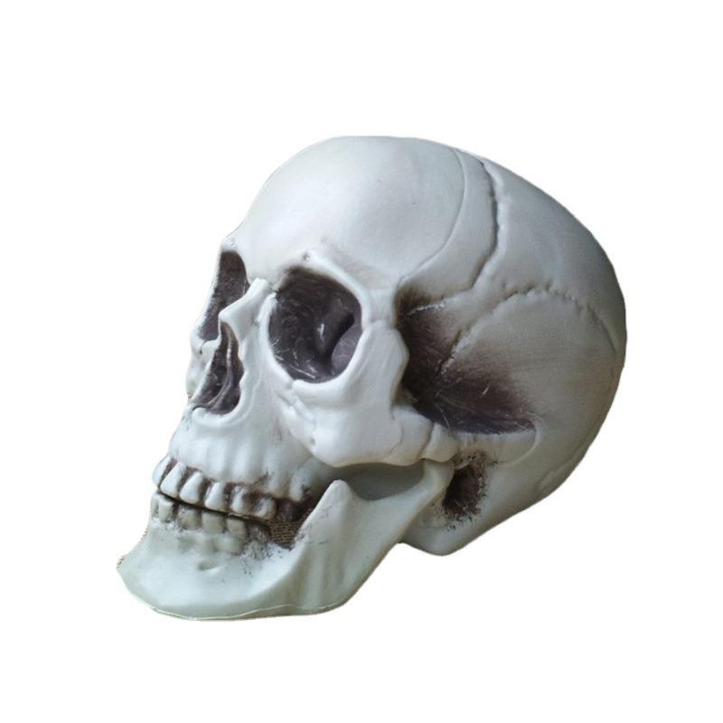 Realistic Human Skull Model - Halloween Decoration Prop for Haunted Houses - Creepy Skull Ornament  Convenient Home Decor
