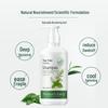 AOG Naturals Tea Tree Soothing Oil Control Shampoo