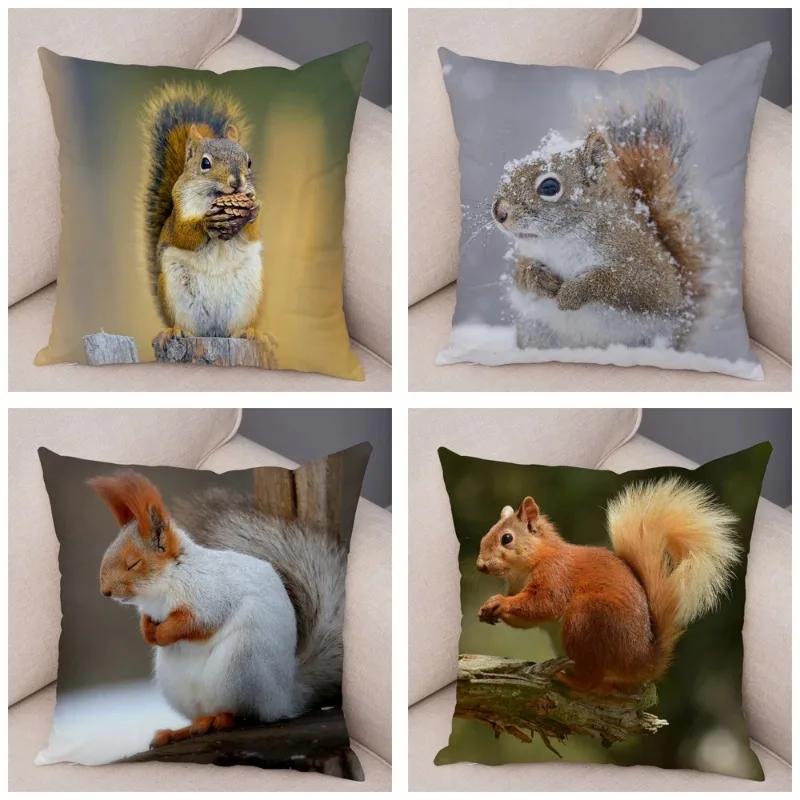 Cute Squirrel Cushion Cover Pillowcase Pillow Covers Home Decor Pet Animal Pillows Case Super Soft Polyester Pillows Covers