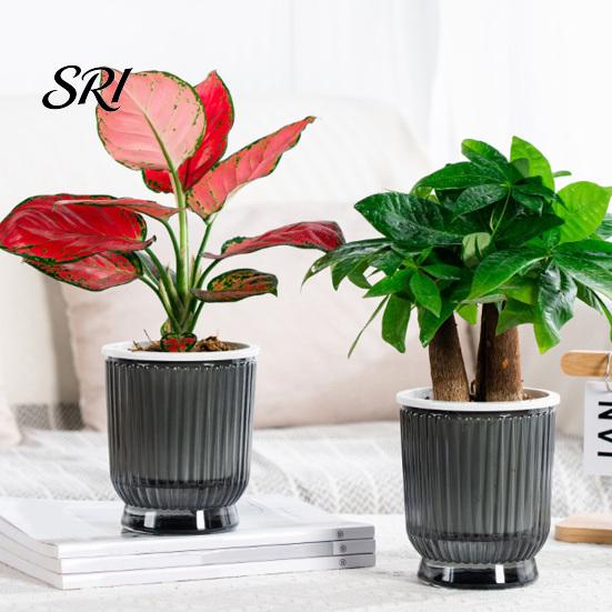 Breathable Plant Pot Self Watering Plastic Flower with Water Reservoir Easy Care Indoor Planter Wick Ropes Modern for Home Office Desktop Low