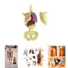 Modelo de Brinquedo Educativo Infantil Para Aprender Anatomia Humana