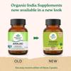 ORGANIC INDIA Amalaki Veg Capsules Natural Wellness Supplement For Daily Vitality And Energy Support With Antioxidant Benefits 60 Capsules