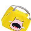 Cartoon Lunch Bag Reusable Picnic Lunch Pouch Tote Meal Bag Ice Pack Kids Adult