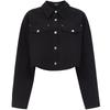 Women's 2025 Spring Solid Cropped Long-Sleeve Lapel Shirt