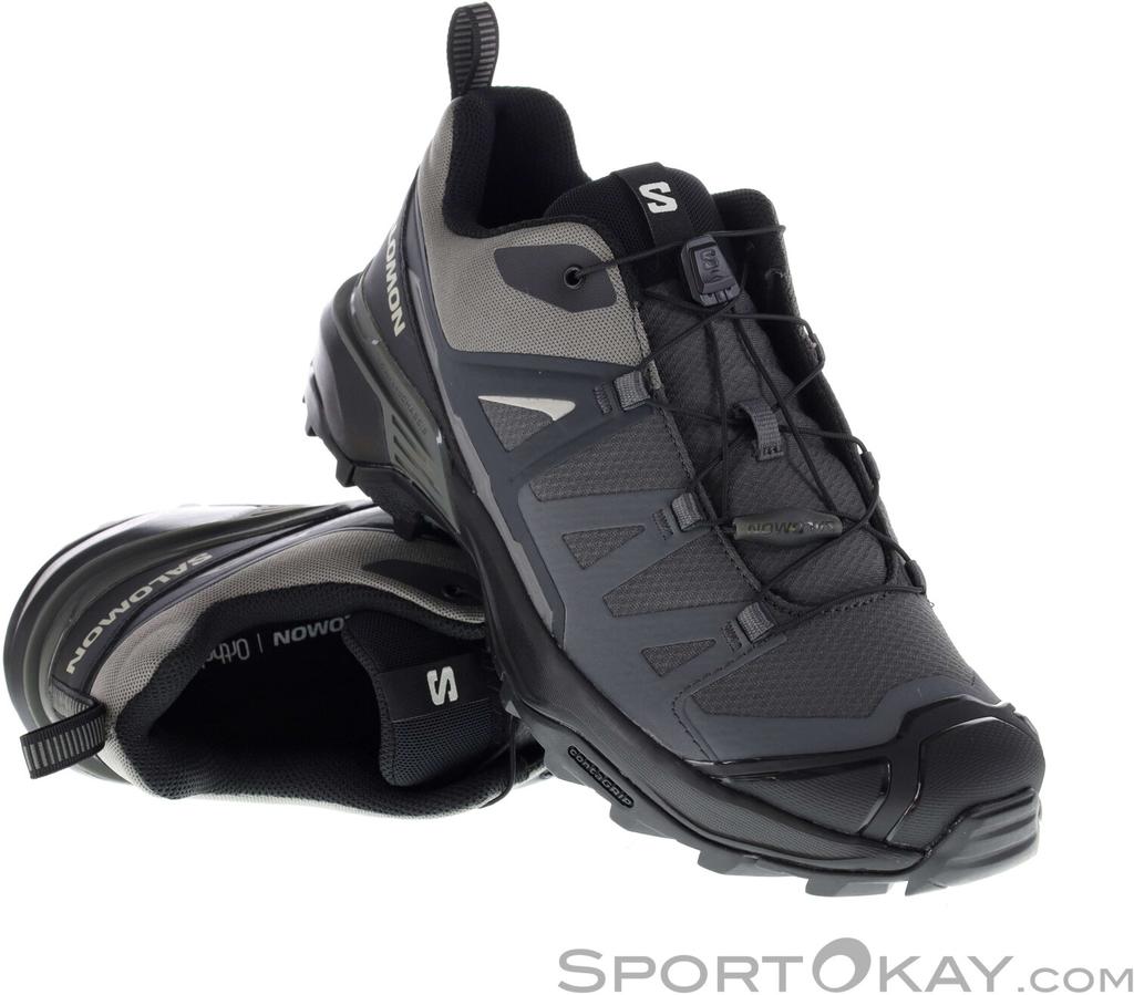 Trekking Shoes Salomon X Ultra 360 Magnet/black/pewter