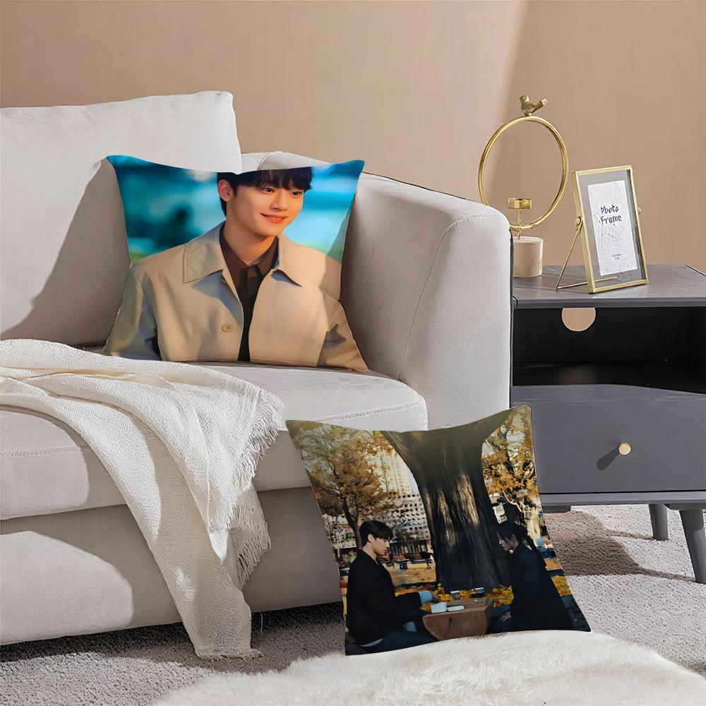 Korean Drama TThe Glory Cushion Cover Throw Pillow Cover Hidden Button Durable Polyester Chair Cushion