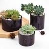 Succulents Planter Resin Mold Plant Pot Crystal Mold Jewelry Storage Box Cup Silicone Mold Vase Flower Pot Casting Mold
