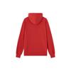 Champion Sweatshirts Unisex Hooded Moderate Regular EM-XSW04