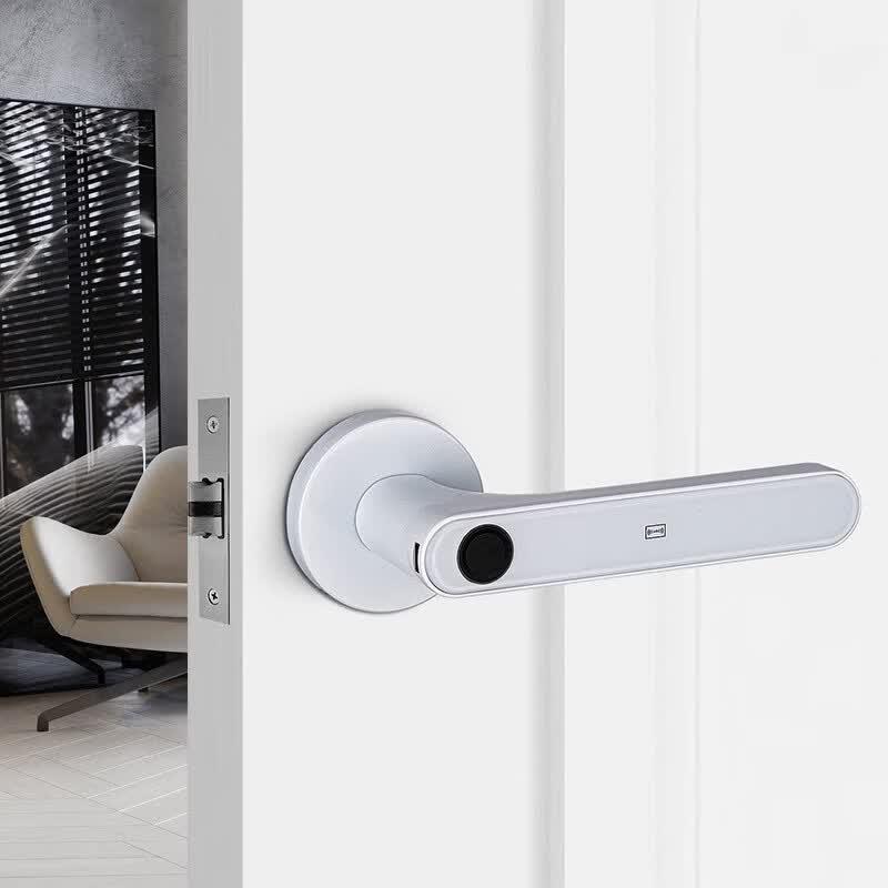 Pingaonong FY07 Smart Fingerprint Door Lock