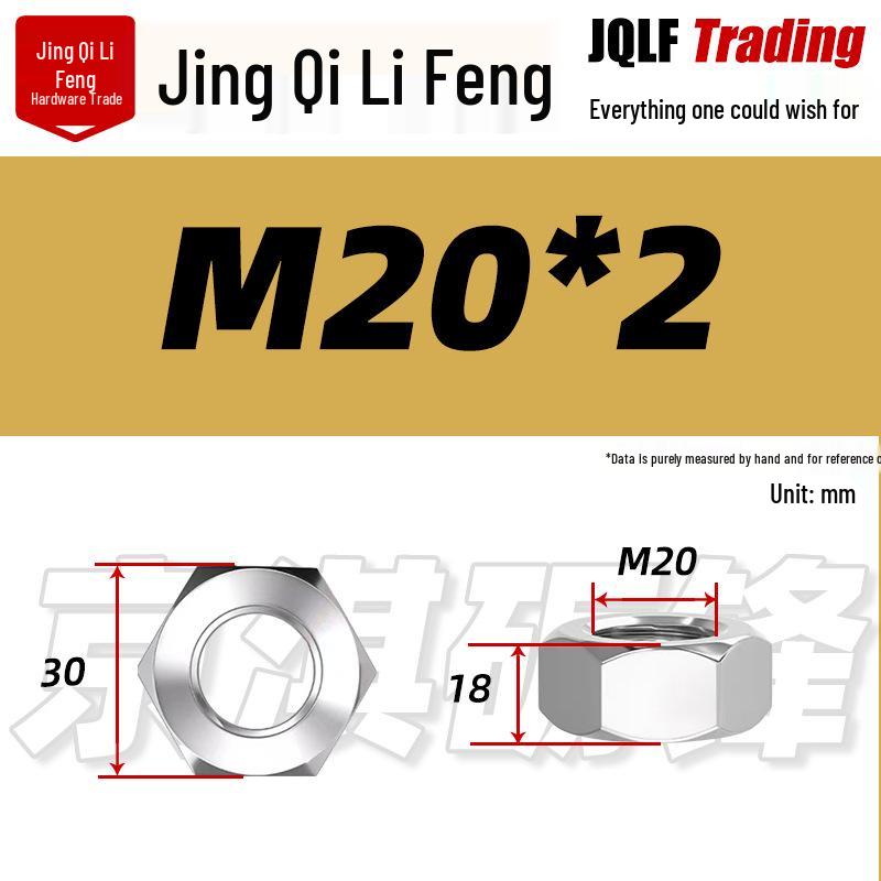 201 Stainless Steel Hex Nut: M3–M56 Fine Thread Thickened Nut