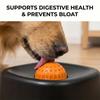 Slow Feeder Dog Bowls for Liquid Treat Interactive Lick Bowl Anti-Slip Slow Feeder for Wet Food Anti-Slip Dog Lick Bowl