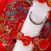 Red Pet Tang Suit Knot Button Cat Coat Kitty Clothes Dog Vest  Spring Festival