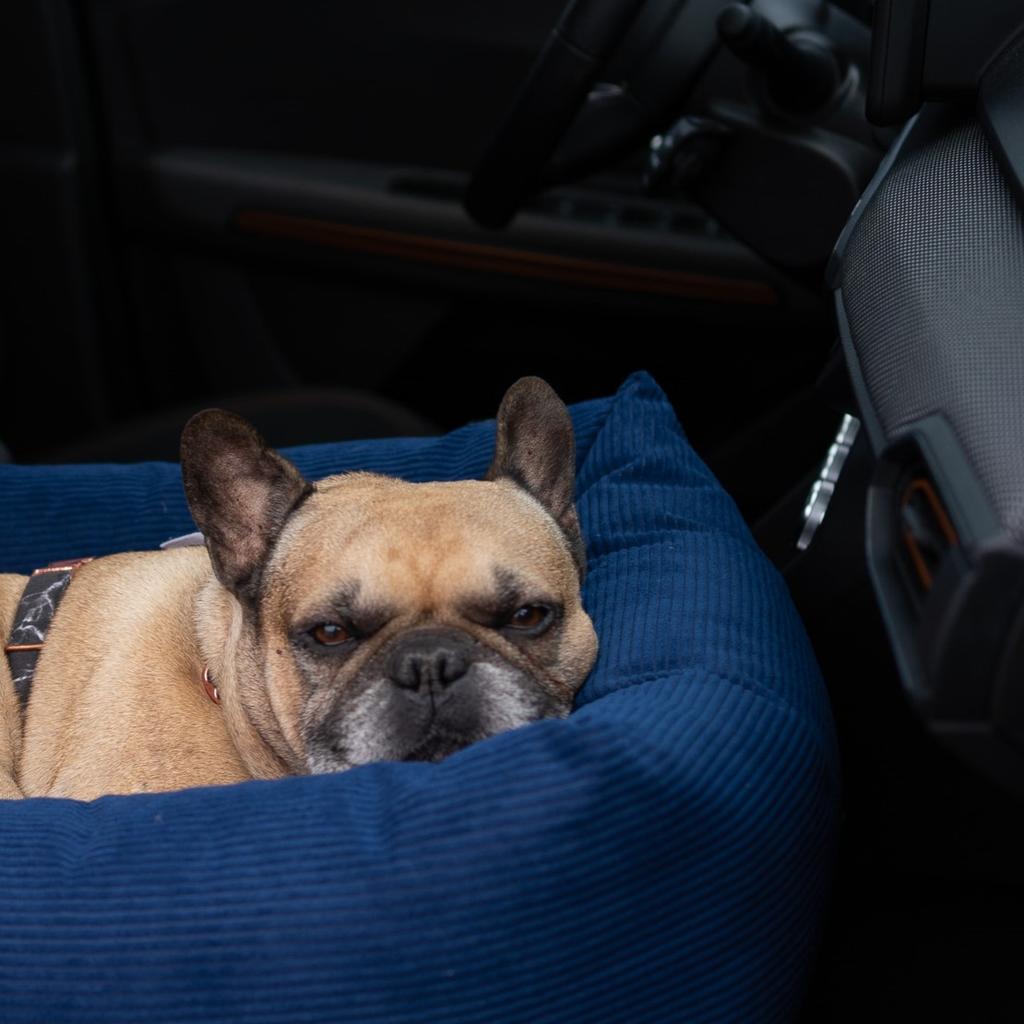 Large XL cord Creme dog car seat