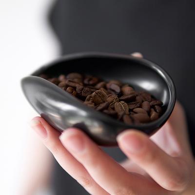 Tăvi de dozare a boabelor de cafea și set de sticle cu pulverizator, reutilizabile, recipient de dozare a cafelei, accesorii pentru espresso și barista