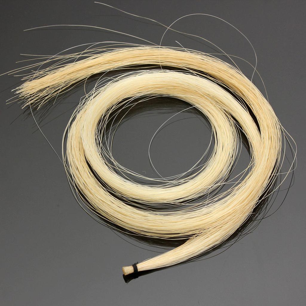 1pc Blanco Hank 80cm 32Inch Mongolia Violín / Viola / Violonchelo Arco  Cabello Crin De Caballo Partes De Violín Accesorios comprar a buen precio —  entrega gratuita, reseñas reales con fotos — Joom