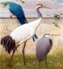 RUOPOTY DIY Oil Painting By Numbers Flower Bird Picture Wall Art Picture By Numbers Animal Unique Gift For Living Room