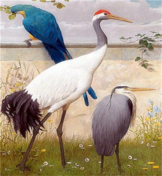 RUOPOTY DIY Oil Painting By Numbers Flower Bird Picture Wall Art Picture By Numbers Animal Unique Gift For Living Room