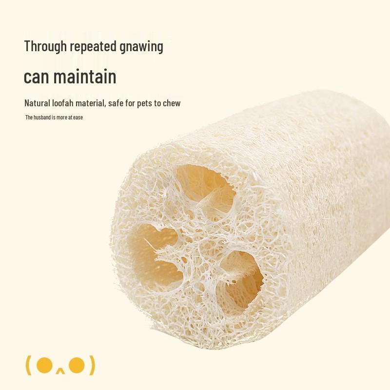 Loofah Cat Toy: Self-Entertaining, Chewing, Teething, and Teeth-Cleaning Stick for Kittens