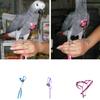 Outdoor Adjustable Bird Vest Leash Bird Training Rope Traction Strap Out Rope