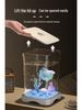 Douyu Small Goldfish Tank for Home and Office Décor
