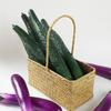 Foam Simulation Eggplants Soft Fake Vegetable Artificial Eggplants  Window Display Props