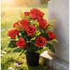 Silk Fabric Petals Silk Rose Bouquet Artificial Silk Roses