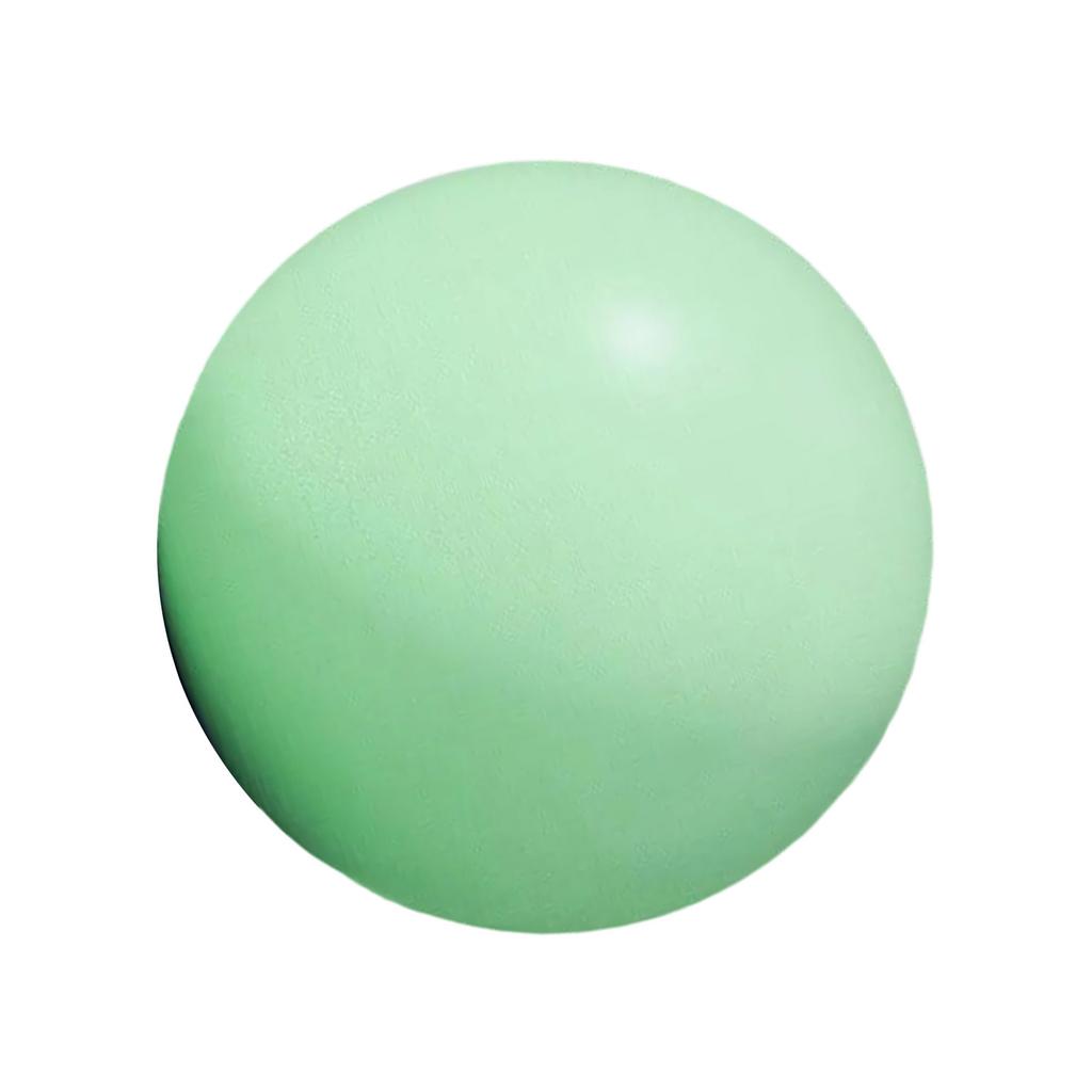 25cm 10Inch Pilates Ball Small Exercise Ball Mini Yoga Ball Gym Ball for Home Gym Pilates Yoga Balance Core Training