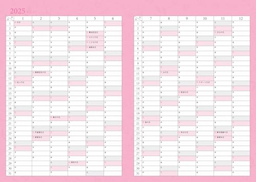 Amy 2025 Attraction Schedule Book: A Diary for Living Your Life (Nagaoka Shoten Diary)