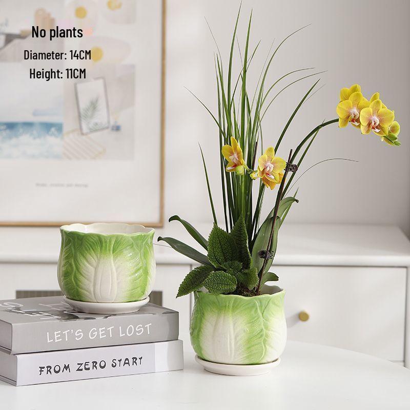 Creative Cabbage Ceramic Flower Pot Set