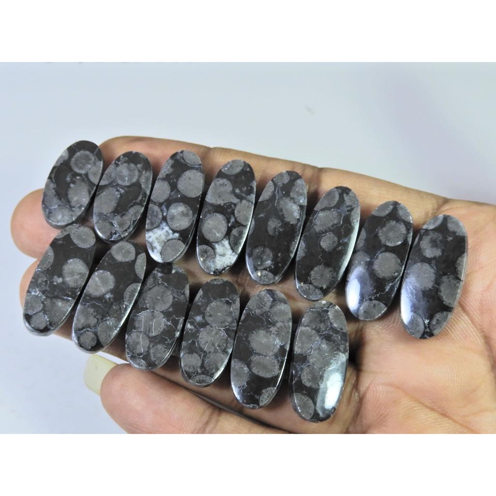 Natural Black Fossil Coral Matched Pair Oval Cabachon Gemstone 07 Pair Lot C-2671
