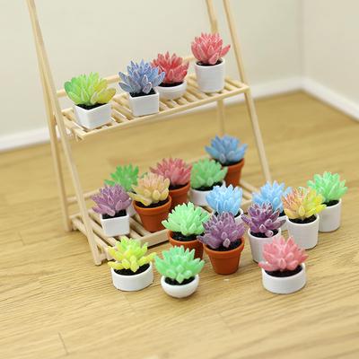 5 Pezzi Piante Succulente Miniatura Simulate in Vaso Modello Casa delle Bambole Bonsai Decorazione Casa delle Bambole Micro Paesaggio Giardino Ornamento da Scrivania