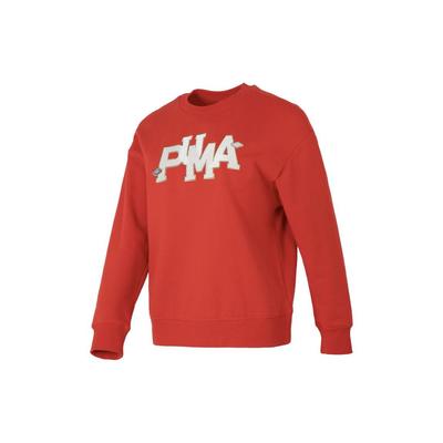 Puma Chinesisches Jahr des Drachen Serie Neujahrsbrief Bestickter Lauf-Fitness-Trainings-Hoodie Damen-Hoodies 625839-11