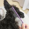 19cm/7.48in Pet Dog Comb Bright Multi-Colored Stripe Grooming Comb Stainless Steel Straight Comb For Dog Cat Grooming Toolts