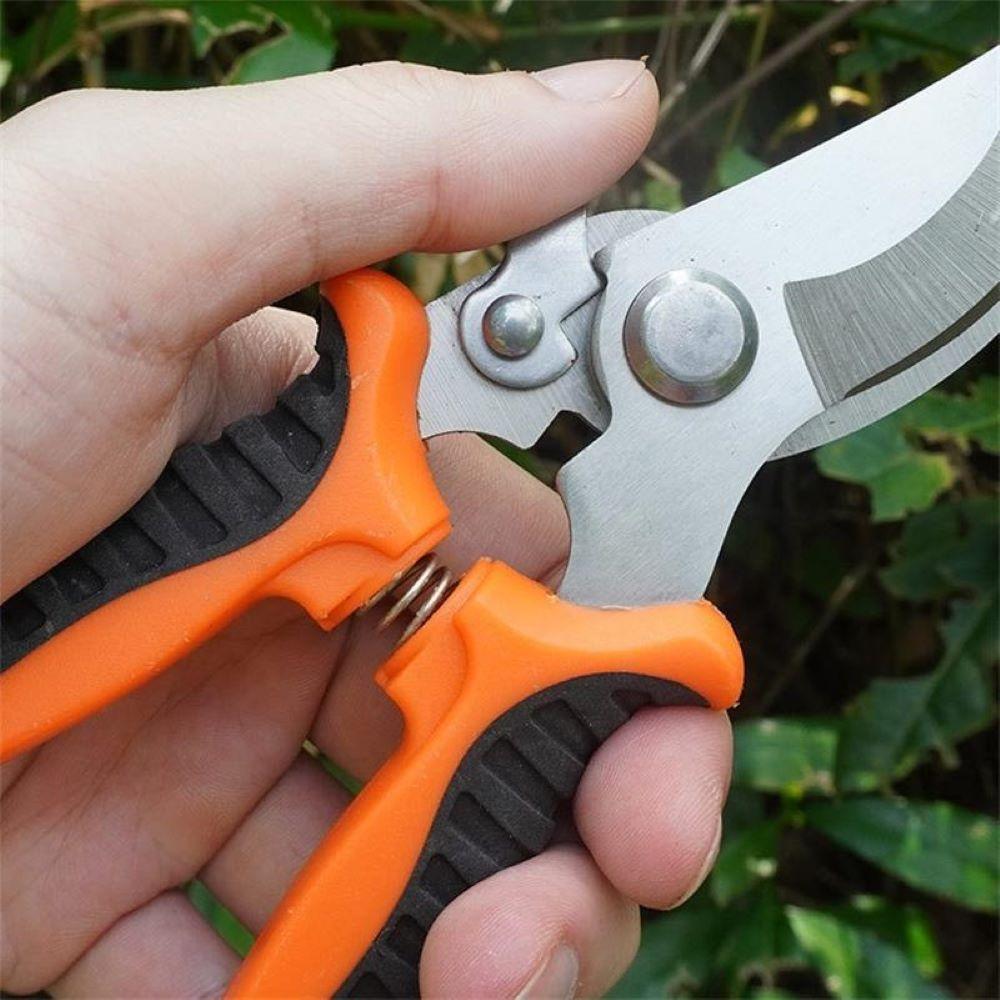 Pruner Garden Scissors Professional Sharp Bypass Pruning Shears Tree Trimmers Secateurs Hand Clippers For Garden Beak Scissors