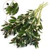 2/6/9PCS Olive Branches Artificial Plants Greenery Stems Olive Leaves Fake Fruits Silk Plants