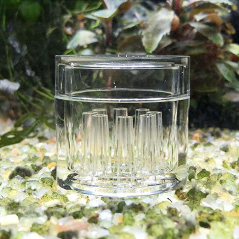 4PCS/Set Aquariums Effective Planarian Catcher for Removing Harmful Organisms from Fish Tanks Durablity Planarian Trap