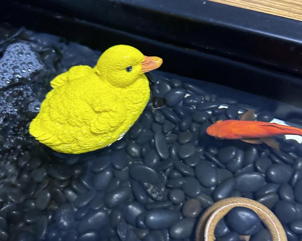 Cute Floating Yellow Duck Ornament for Fish Tanks, Pools, and Ponds