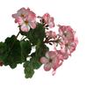 Bouquet Artificial Peony flower Flore White Silk Fake Orchid Flower DIY Wedding Back Road Home Desk Vase Accessories Faux Flores