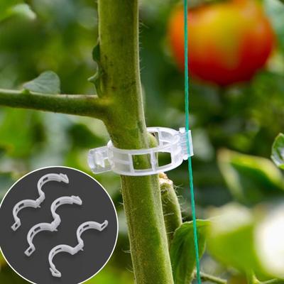 Cura delle piante – Nastri adesivi e fascette per fissaggio piante