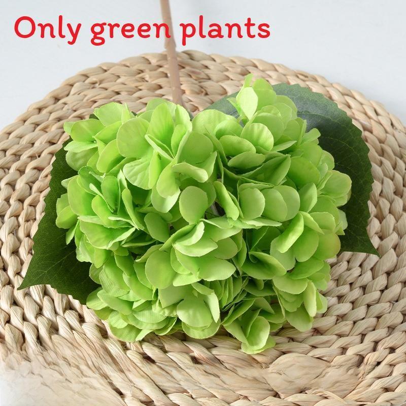 Liebm Deliciosa Monstera And Eucalyptus Citriodora Hook Green Decor Plants