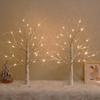 White Birch Tree with LED Lights, Lighted Birch Tree for Tabletop, USB/Battery Operated 24 LED Warm White Tree, 2FT Mini Christmas Tree Decor for